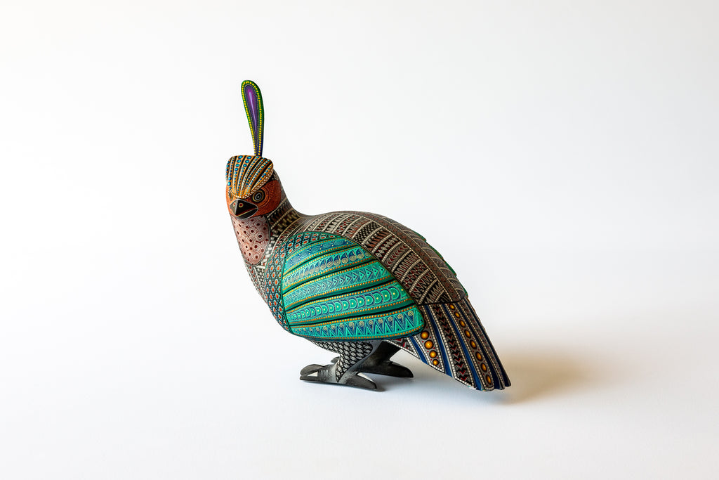 Codorniz (Quail)