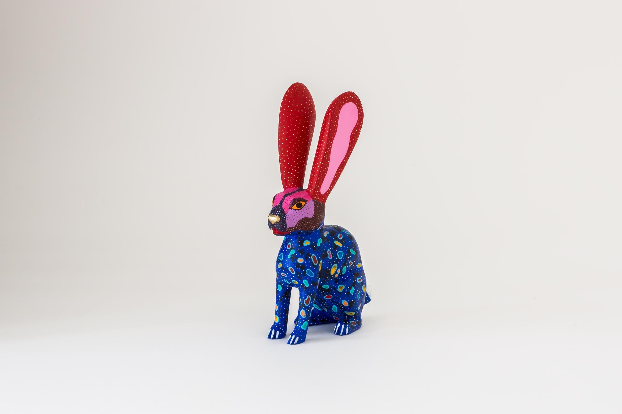 Blue Rabbit with Golden Nose