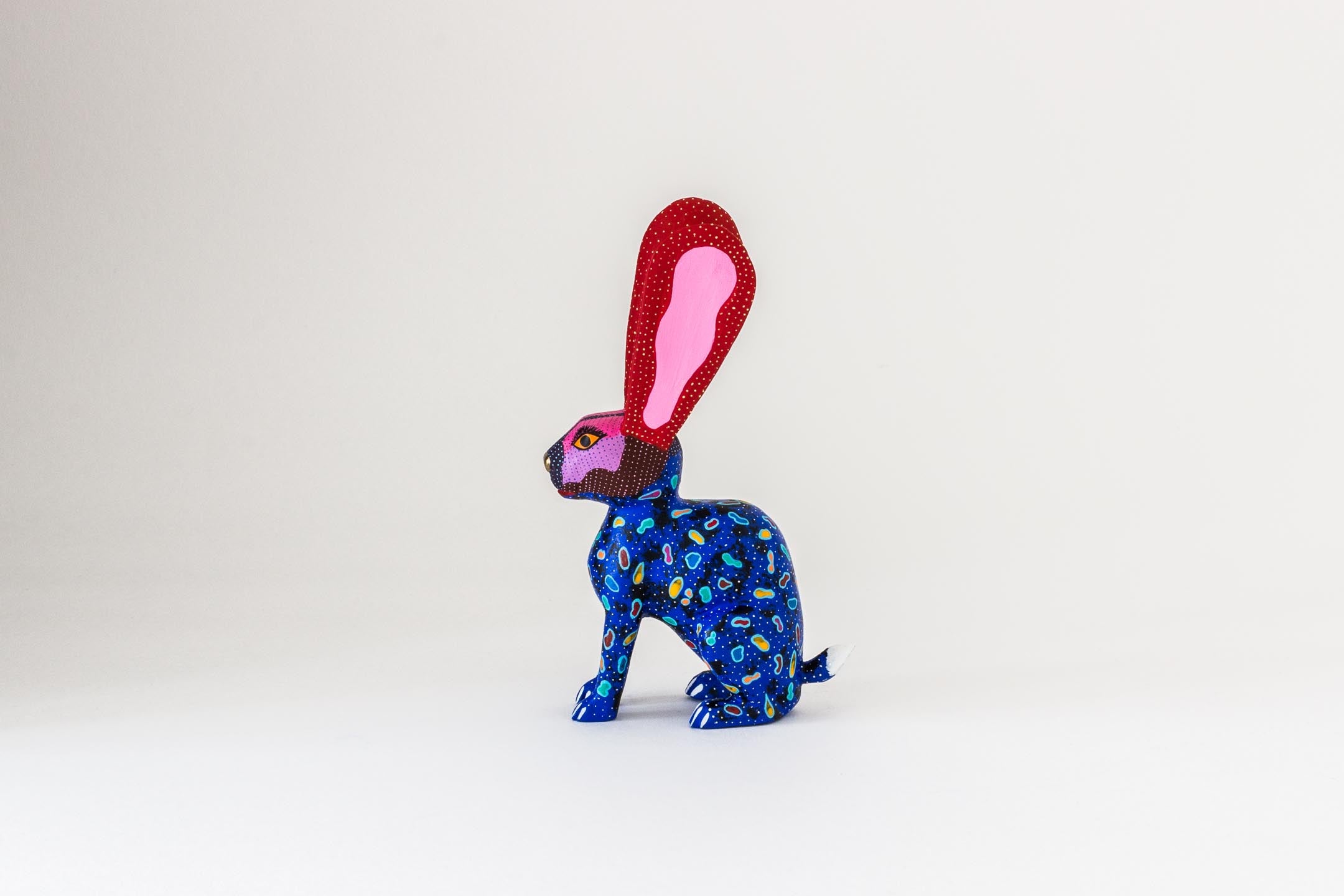 Blue Rabbit with Golden Nose