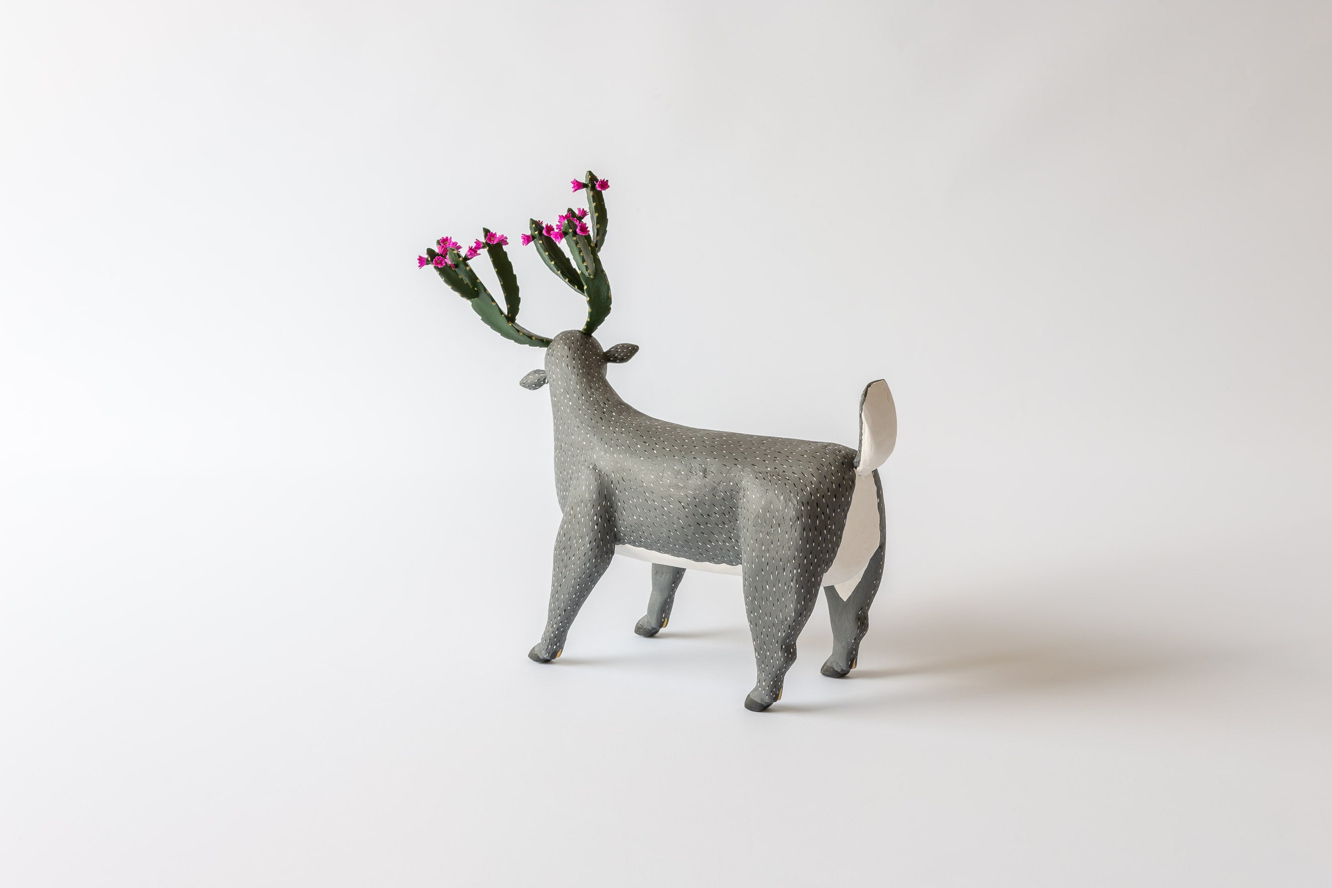 A deer with antlers out of a cactus with tiny flowers. The Foto shows the sideview of the deer.