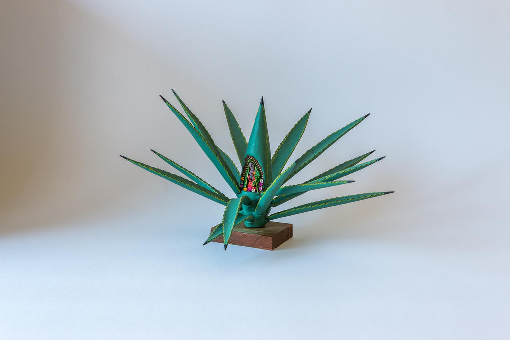 Agave with Virgin of Guadalupe