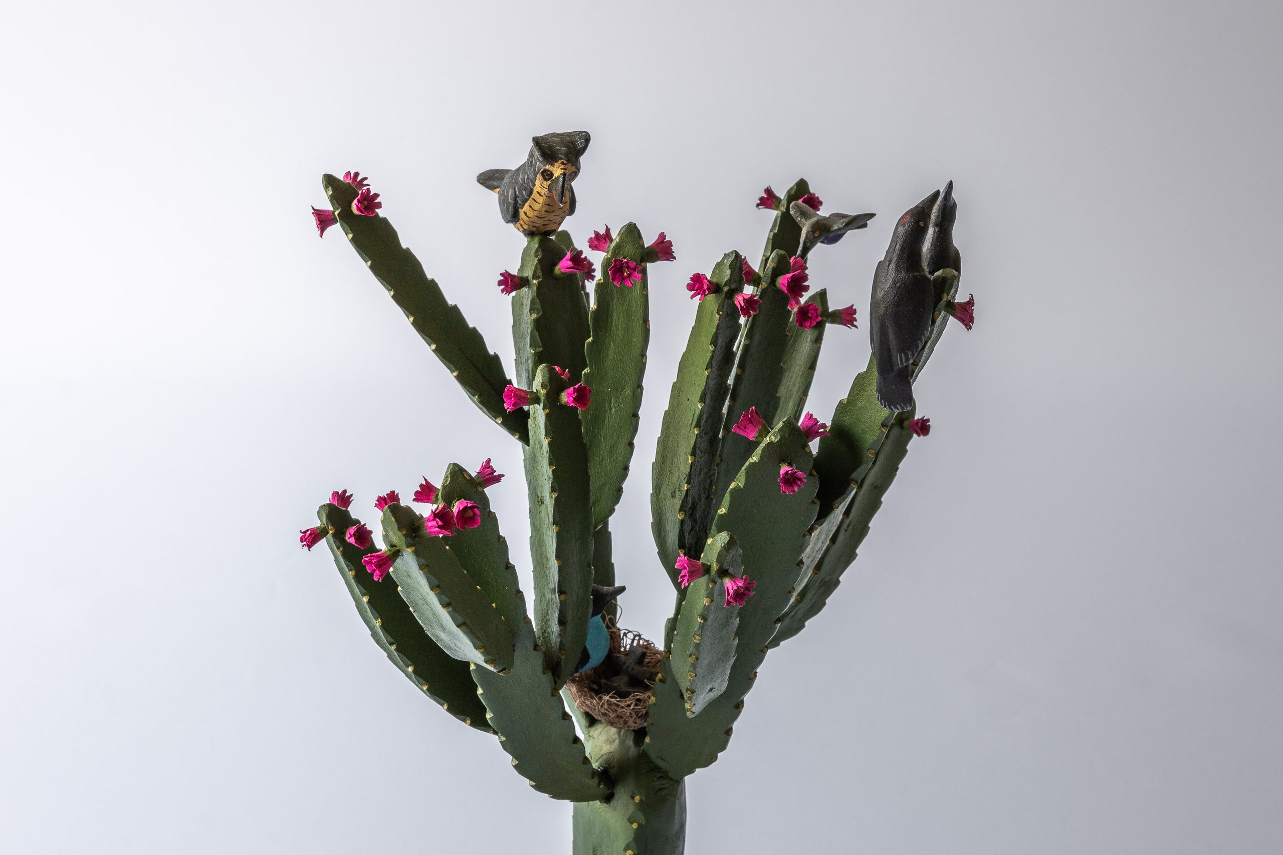 Cactus with Owl and Snake
