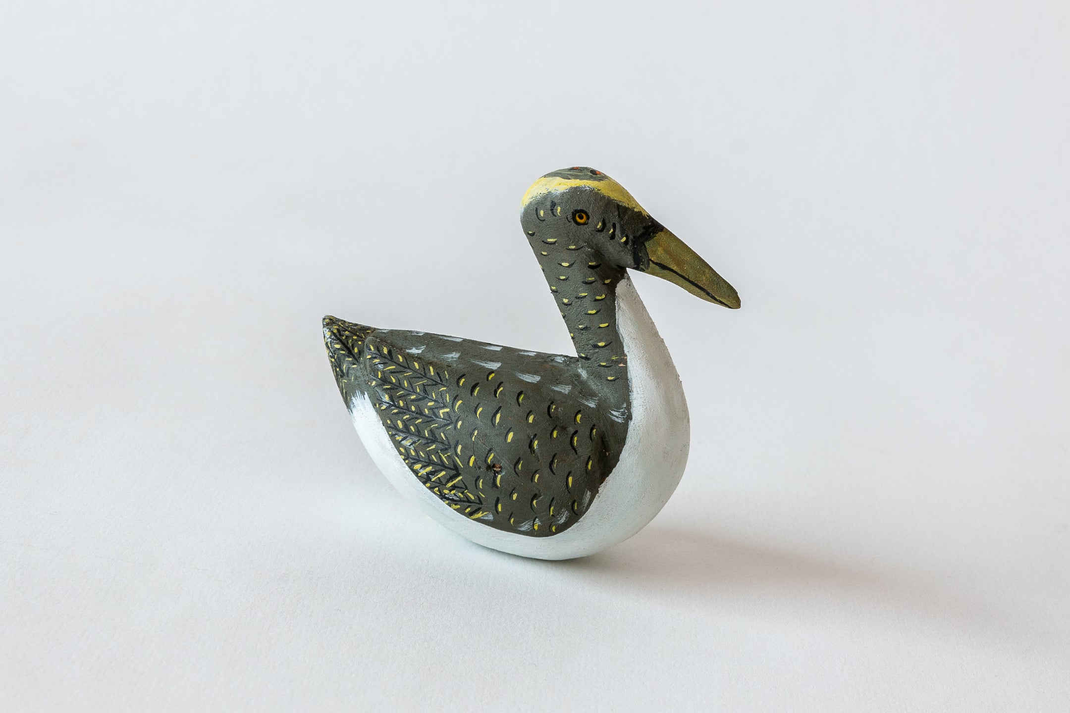 Brown Pelican