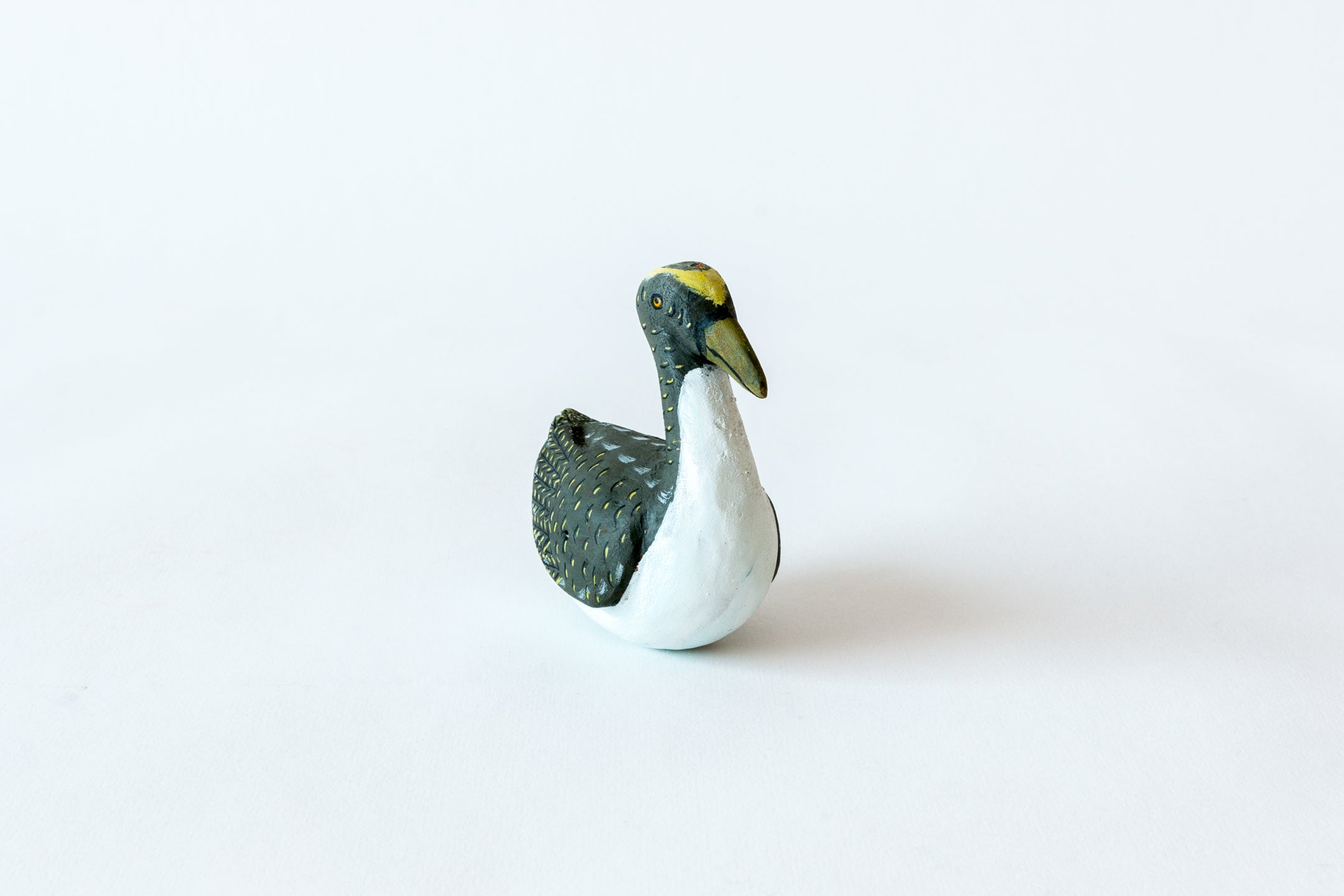 Brown Pelican