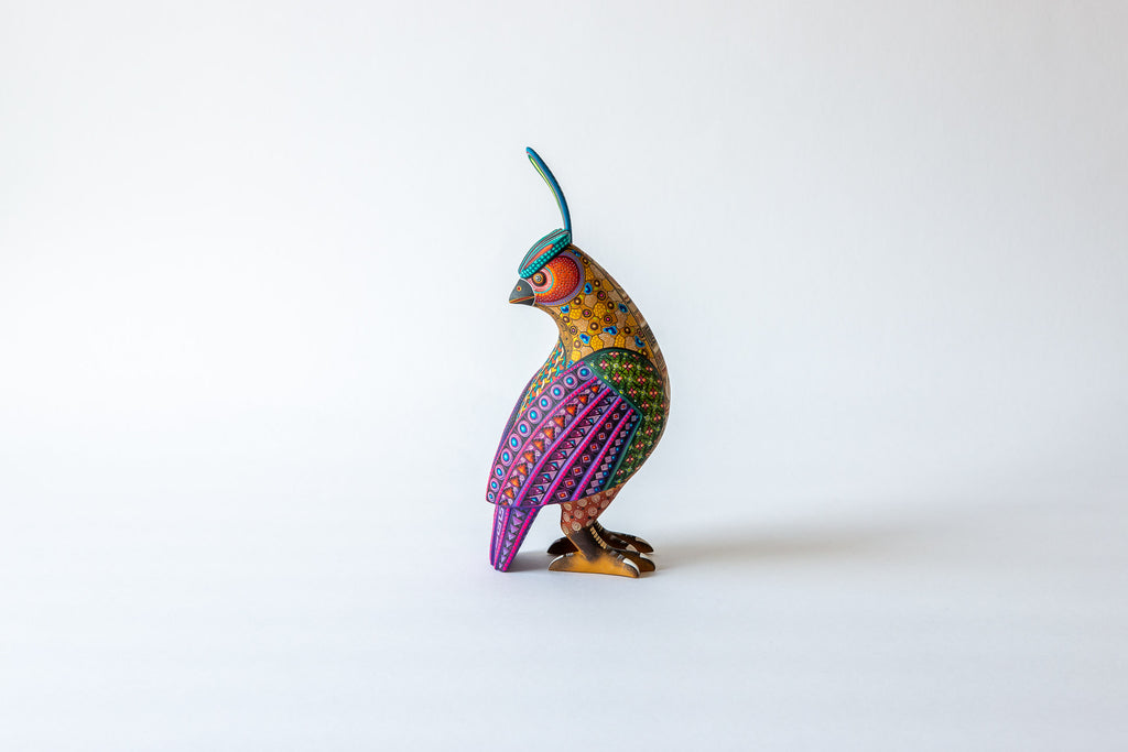 Quail (Codorniz)