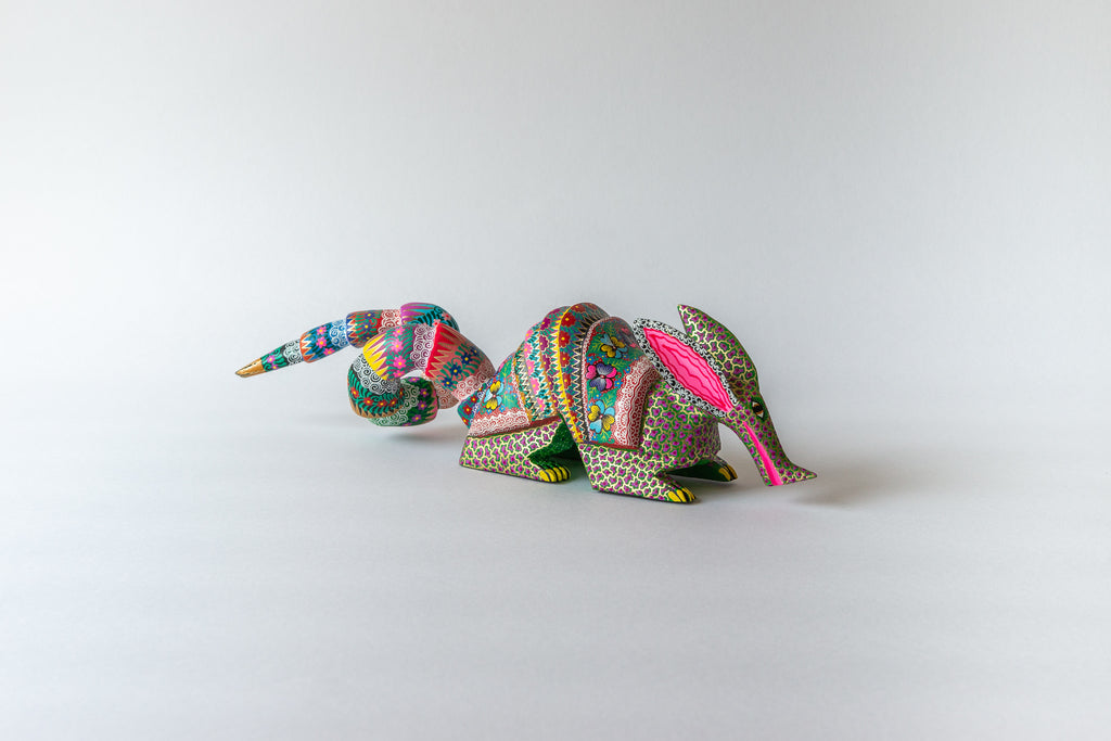 Armadillo