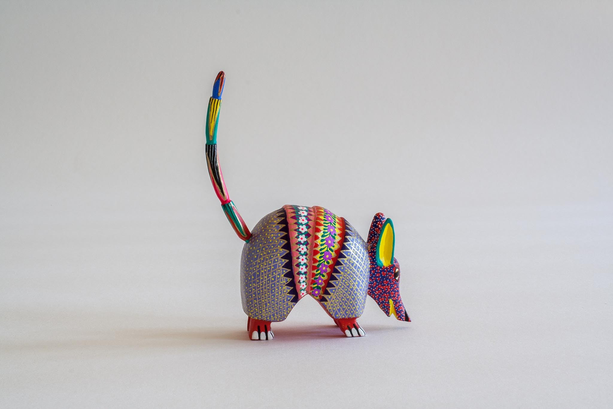 Two Armadillos